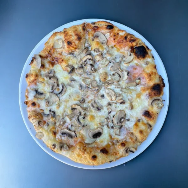 FUNGHI